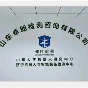 山東卓朗檢測(cè)咨詢 專業(yè)安全咨詢服務(wù)提供商